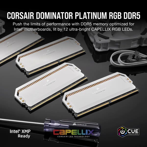 DOMINATOR®-PLATINUM-RGB-64GB-2x32GB-DDR5-DRAM